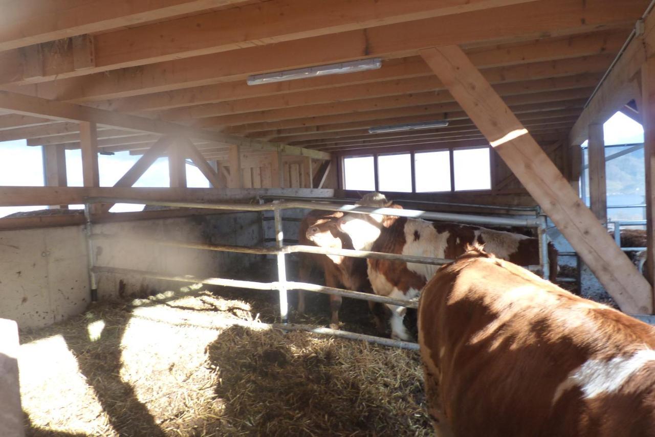 Landgut Wagnerfeld *