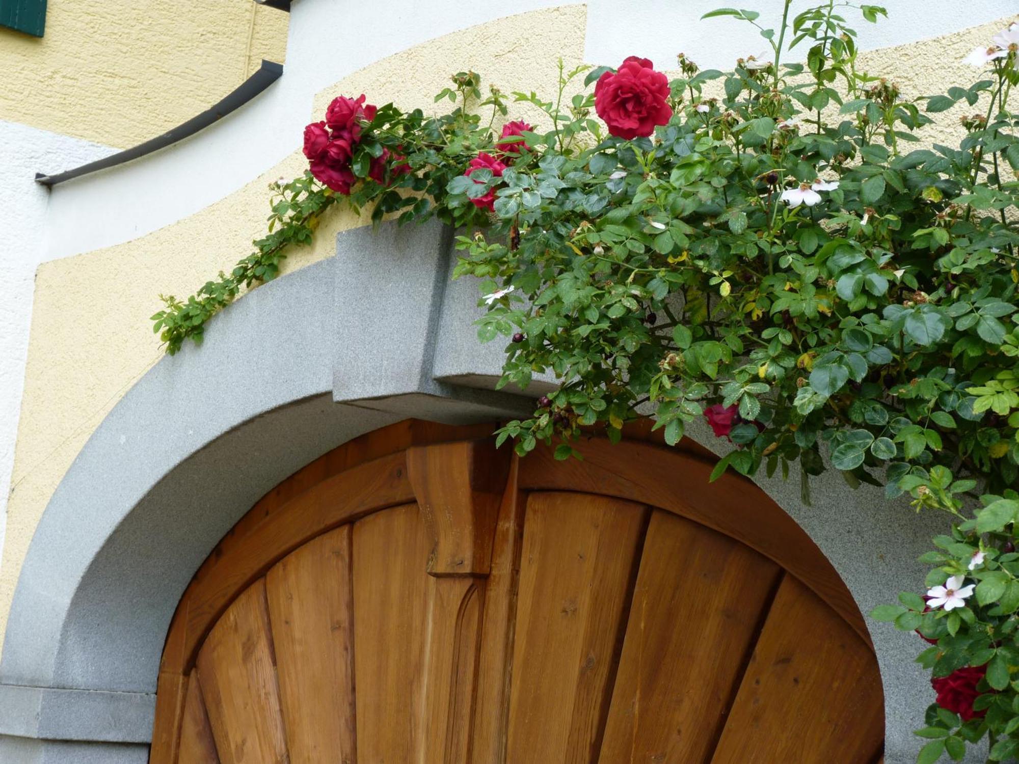 Landgut Wagnerfeld Apartment *