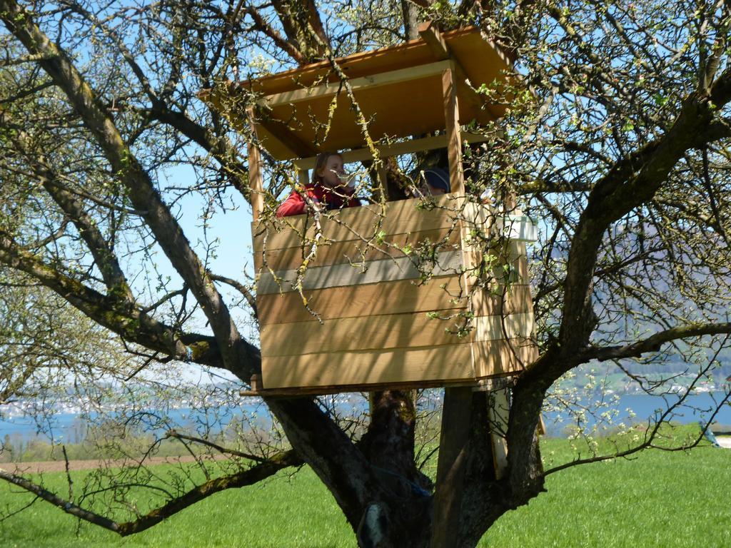 Landgut Wagnerfeld Apartmán