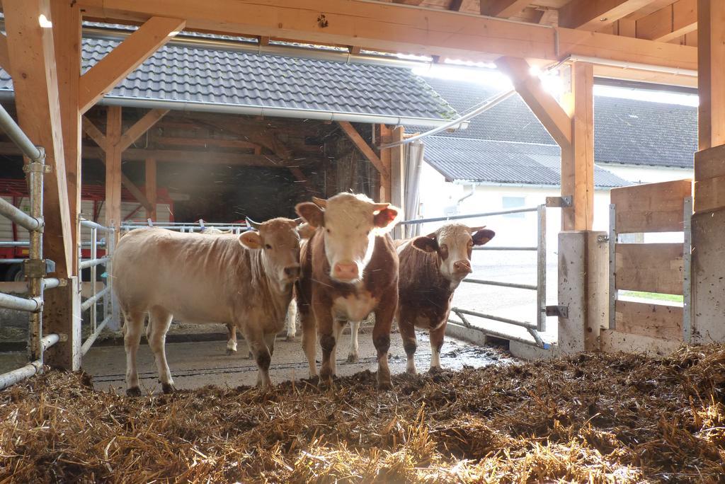 Apartmán Landgut Wagnerfeld