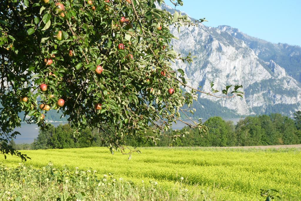Landgut Wagnerfeld Apartmán Altmünster